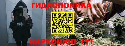 прущая мука Пугачёв