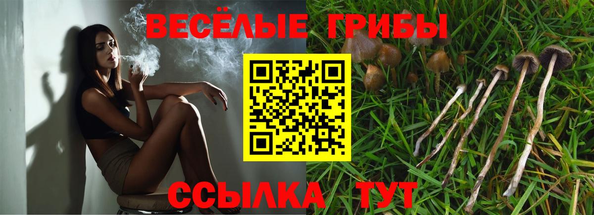 Псилоцибиновые грибы GOLDEN TEACHER  Вход с VPN  Псилоцибиновые грибы GOLDEN TEACHER  Саратов 